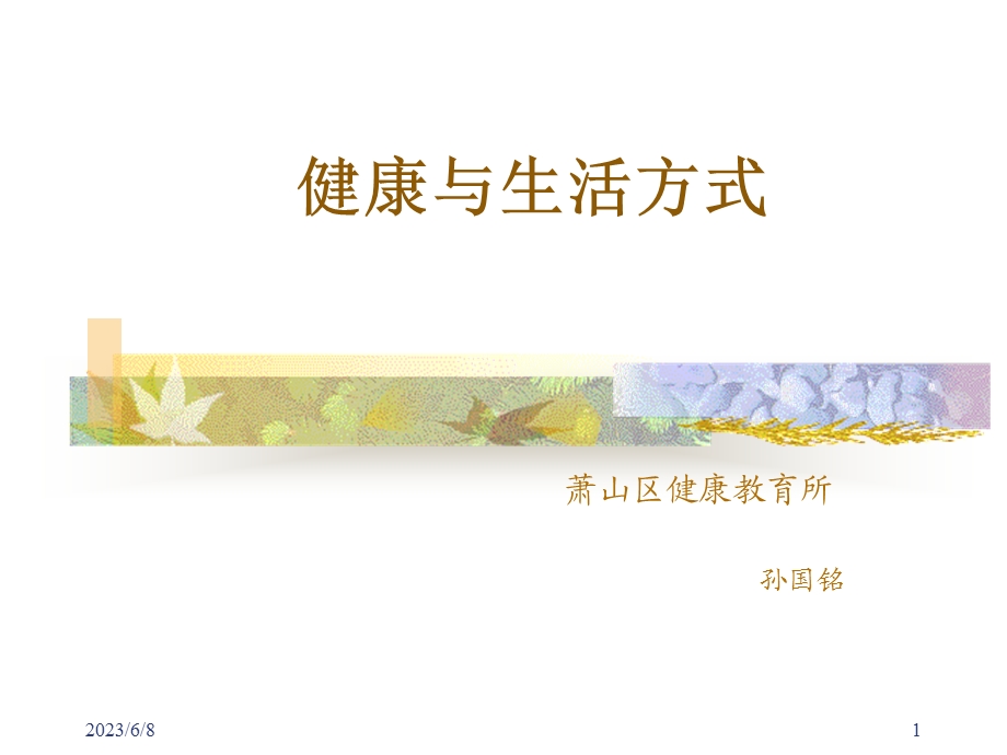 健康与生活方式.ppt_第1页