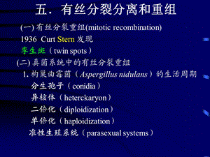 分子遗传学5连锁交换基因作图B.ppt