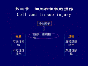 病理 12组织损伤.ppt