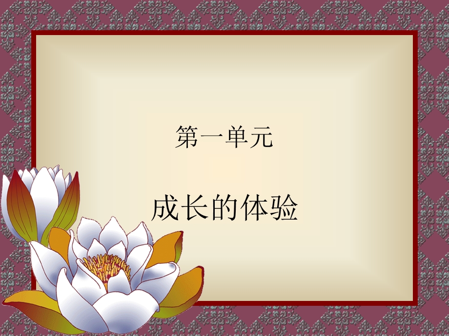 第一单元.ppt_第1页