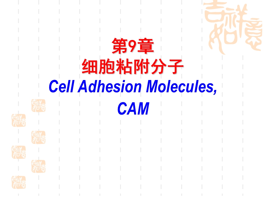 第9章细胞粘附分子CellAdhesionMoleculesCAM.ppt_第1页