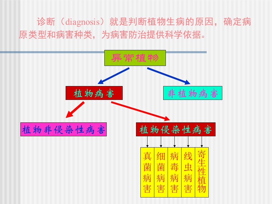 一节植物病害诊断.ppt_第3页