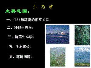 一、生物与环境的相互关系：.ppt