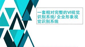 一套相对完整的VI视觉识别系统.ppt