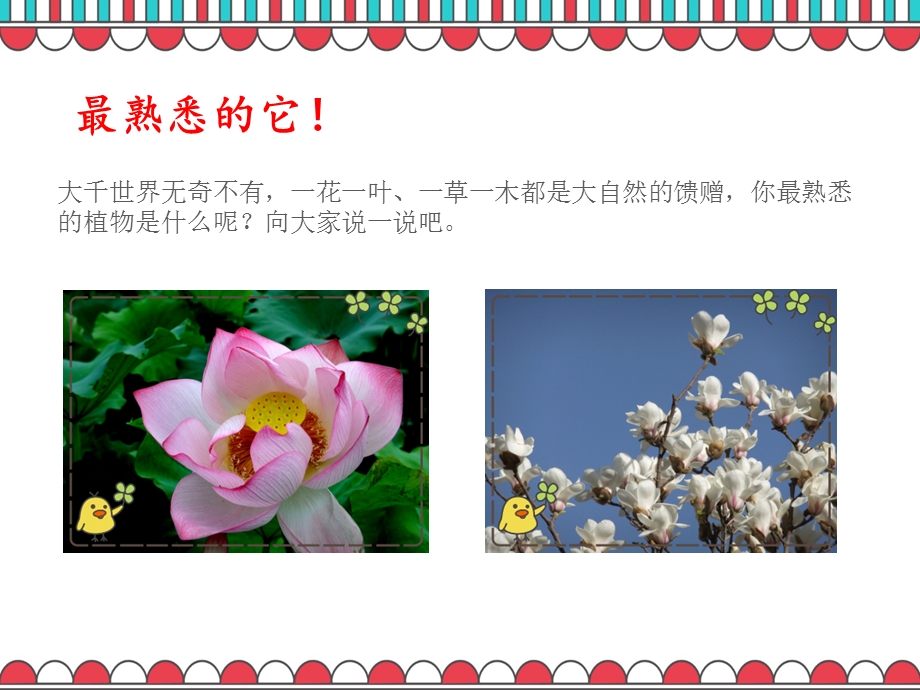 三年级学写一种植物.ppt_第3页