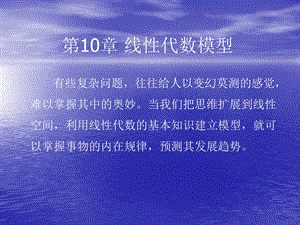 第10章线性代数模型.ppt