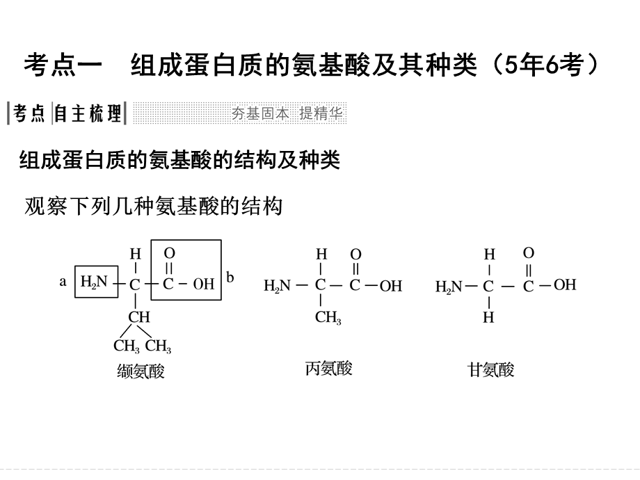 一轮复习 生命活动的主要承担者-蛋白质.ppt_第2页