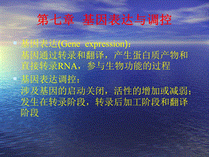 基因表达和调控.ppt