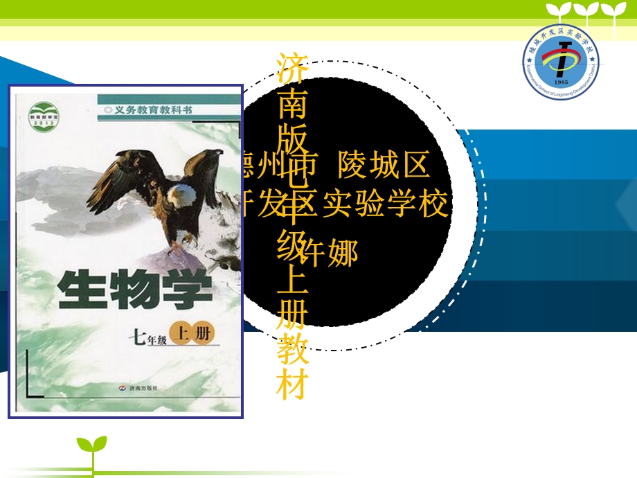 七年级生物济南版观察叶片结构说课.ppt_第1页