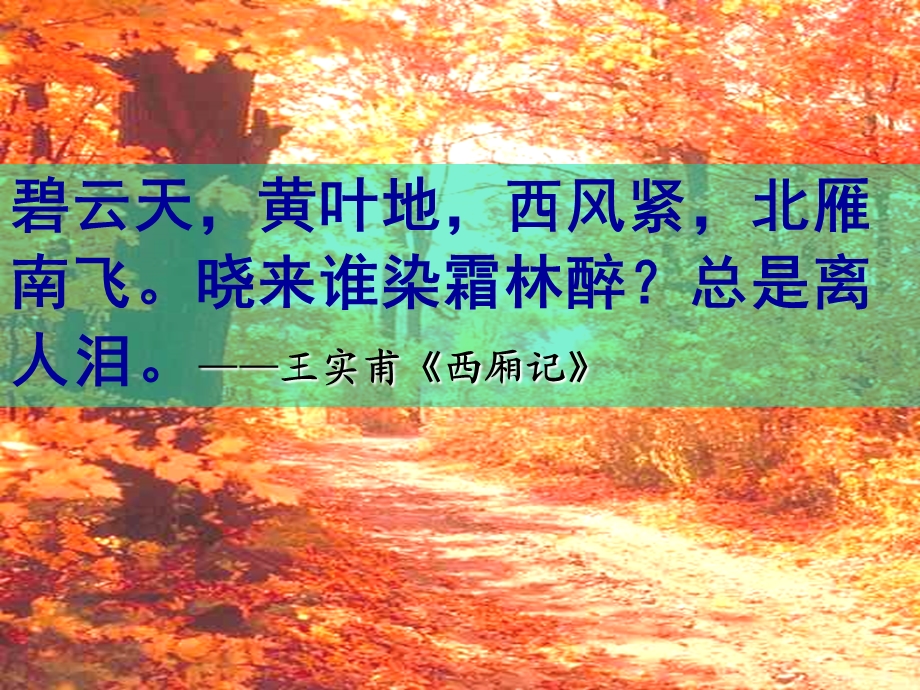 《故都的秋》ppt课件(用).ppt_第2页