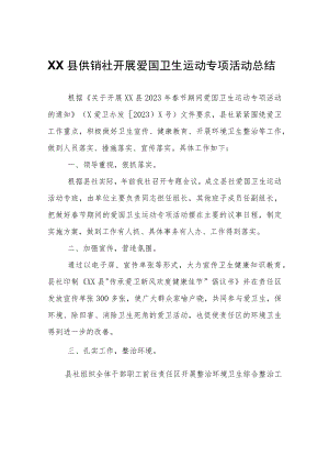 XX县供销社开展爱国卫生运动专项活动总结.docx