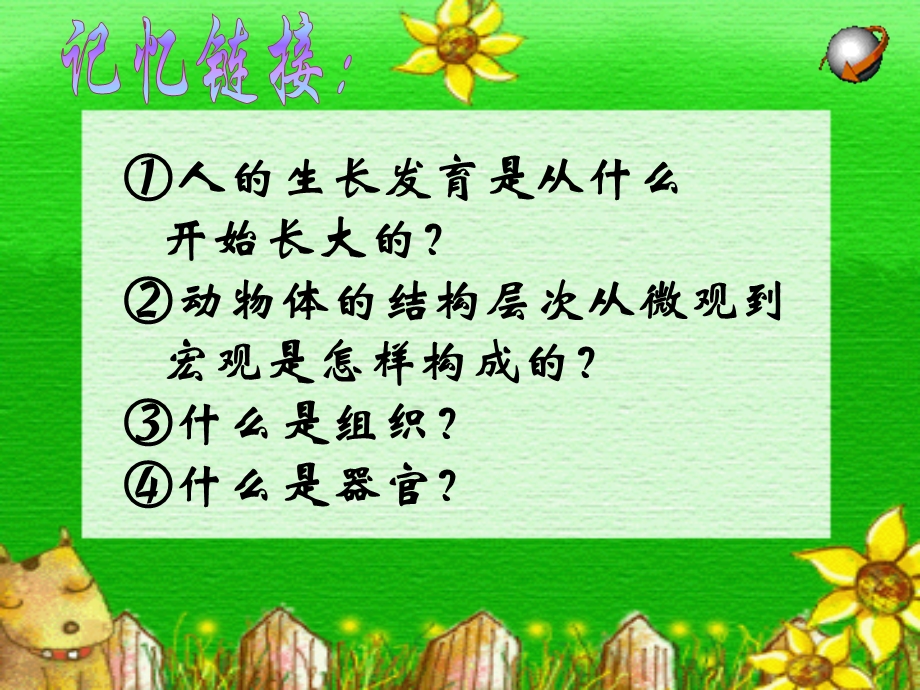 七年级第三节-植物体的结构层次.ppt_第2页