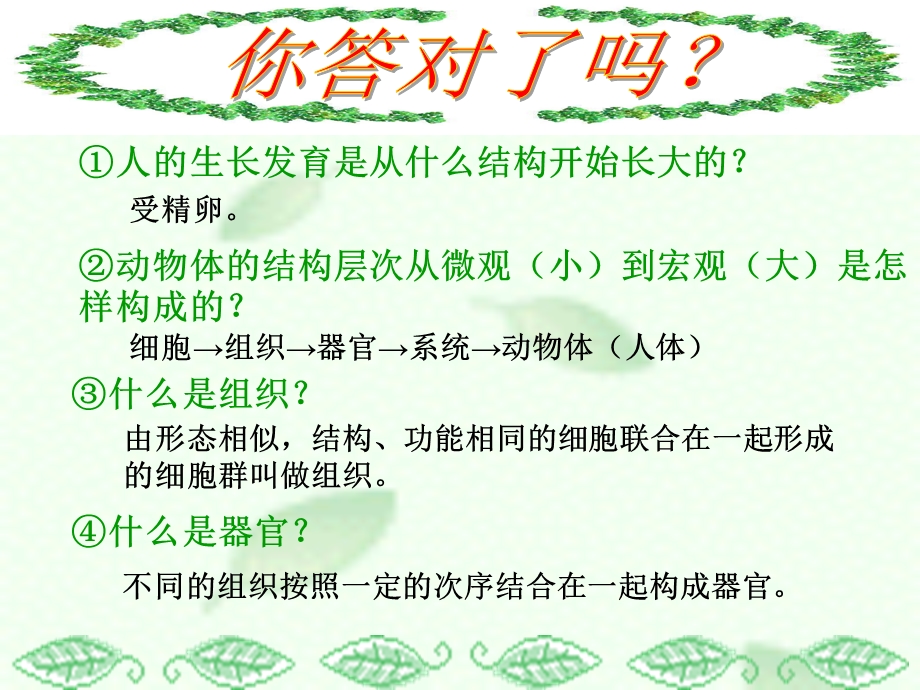 七年级第三节-植物体的结构层次.ppt_第3页