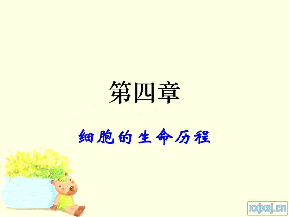 一轮复习-有丝分裂(经典).ppt_第1页