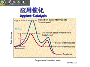 应用催化绪论.ppt