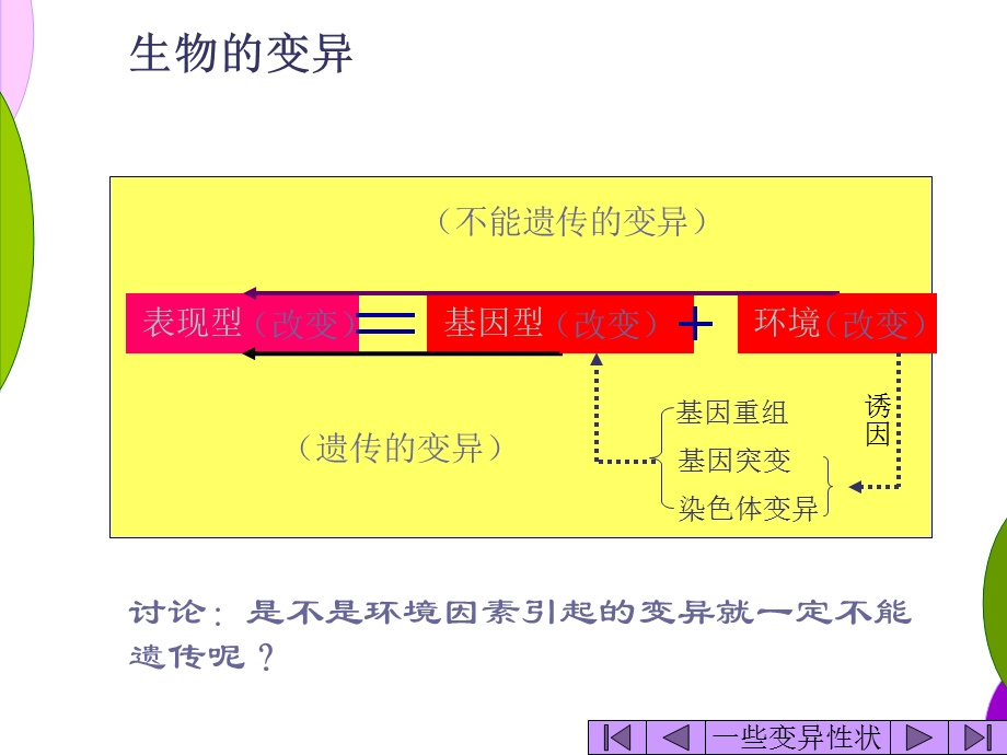 一基因突变和基因重组.ppt_第2页