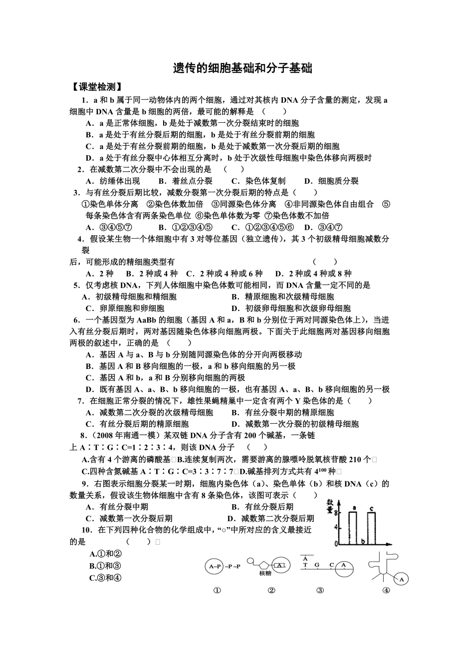 遗传的细胞基础和分子基础.doc_第1页