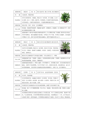 50种常见室内盆栽绿化植物介绍(带图片).doc