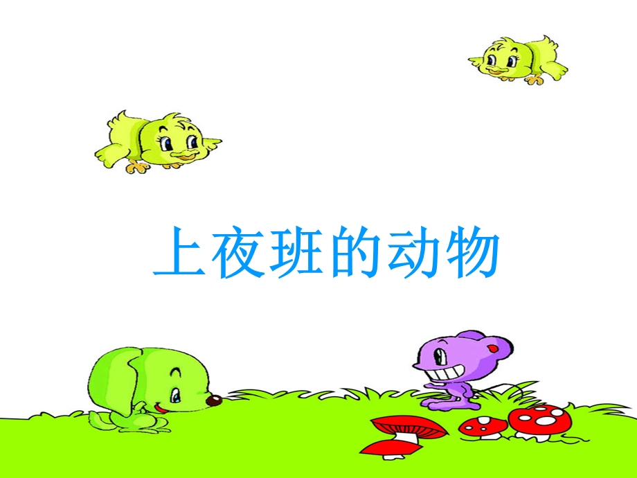 三年级科学上夜班的动物.ppt_第1页