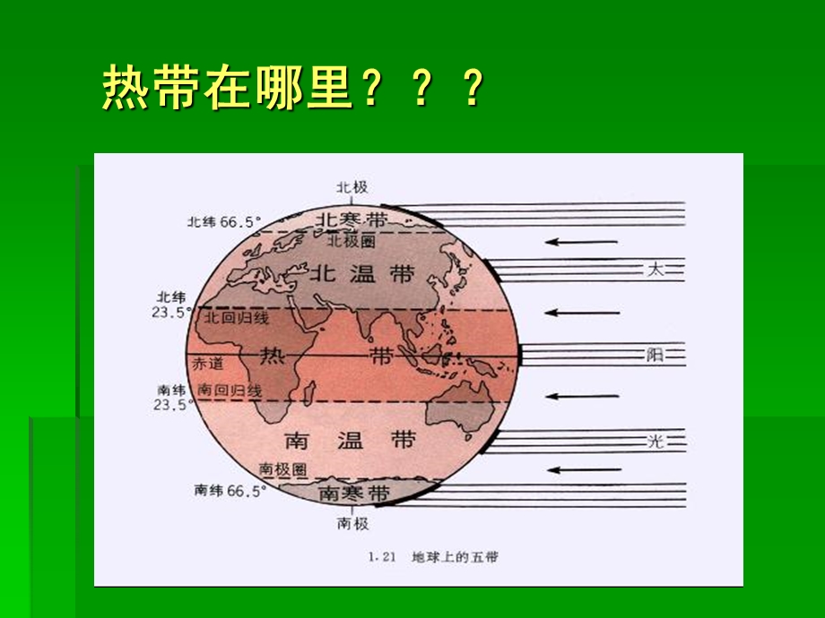 三年级上美术课件-奇特的热带植物岭南版.ppt_第2页