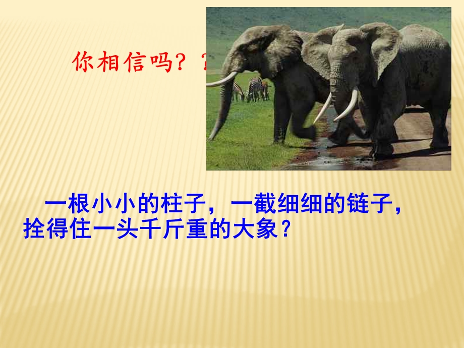 七年级主题班会-好习惯养成.ppt_第2页