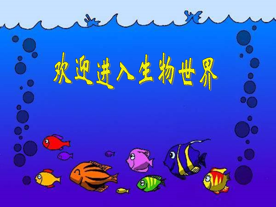 七年级生物《生物与环境的关系》.ppt_第1页