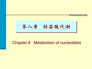 核苷酸代谢08Nucleotids.ppt