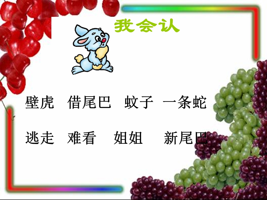 一年级下册小壁虎借尾巴.ppt_第2页