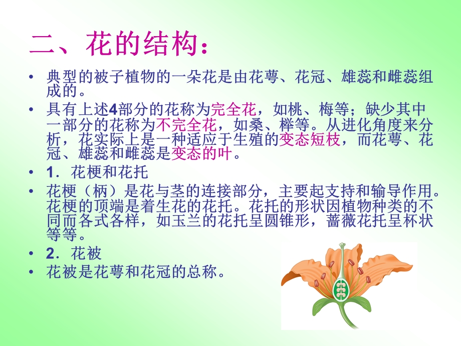 被子植物的生殖和生殖器官.ppt_第3页