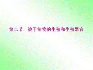 被子植物的生殖和生殖器官.ppt