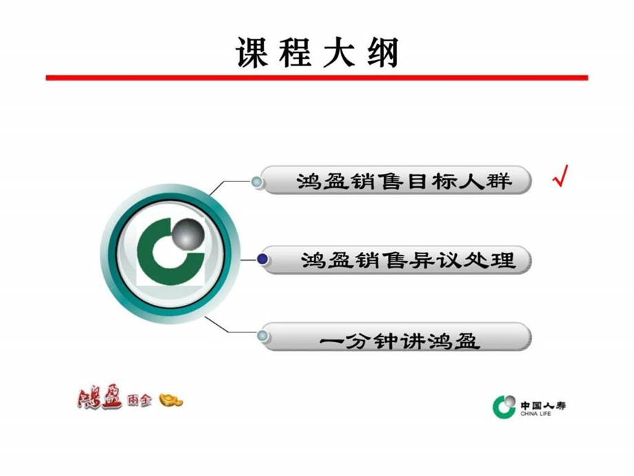 鸿盈产品目标市场及话术.ppt_第3页