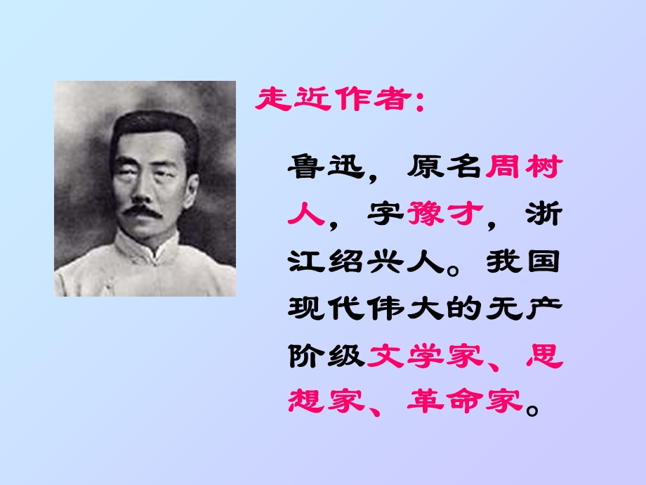 《祝福》优秀PPT课件.ppt_第2页