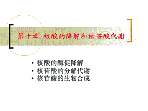 第十章核酸的降解及核苷酸代谢.ppt