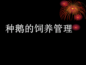 养鹅技术知道大全.ppt