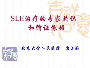 SLE治疗的专家共识和循证依据.ppt