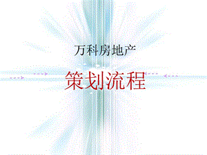 万科房地产策划流程全程策划.ppt