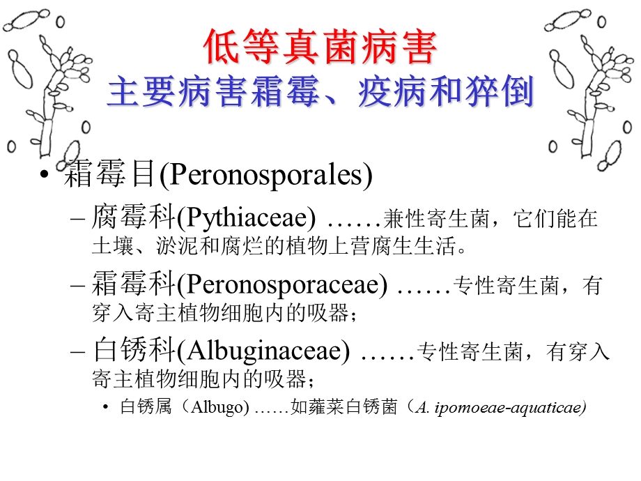 植物低等真菌病害防治技术.ppt_第3页