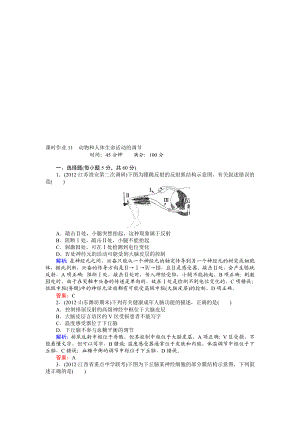 课时作业11动物和人体生命活动的调节.doc