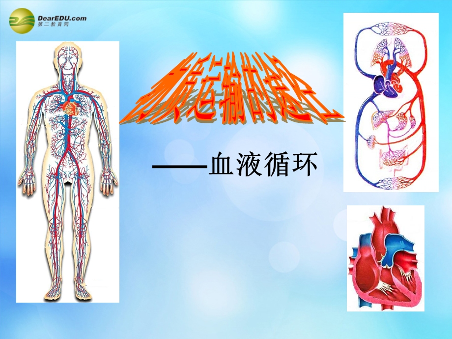 七年级生物下册物质运输的途径课件济南版.ppt_第1页