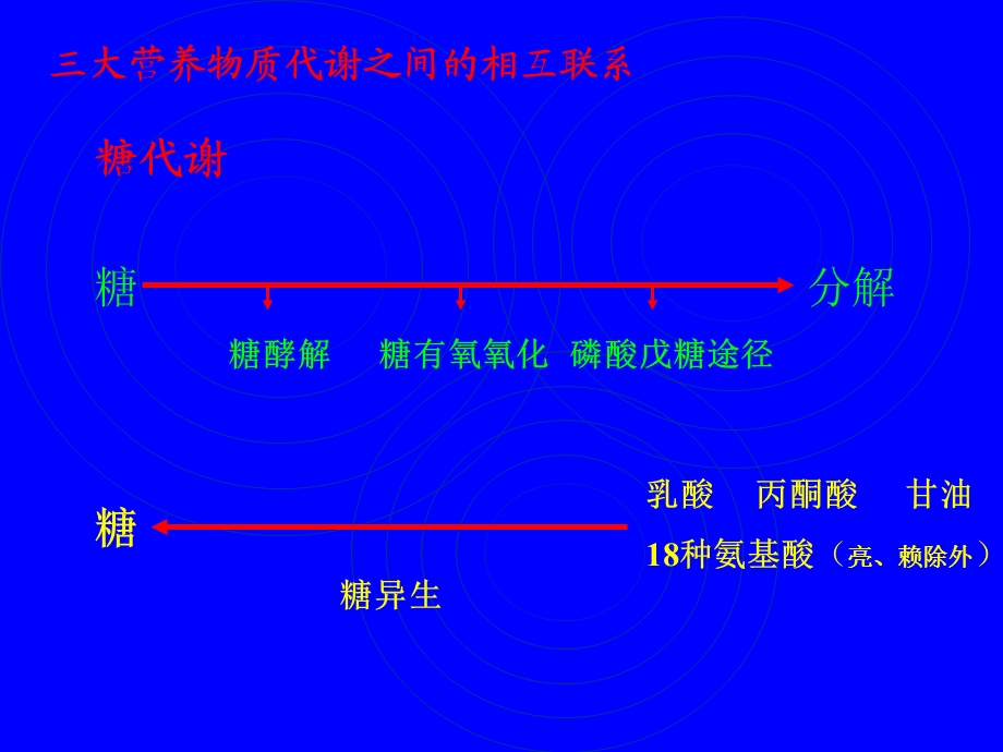 三大营养物质代谢之间的相互联系.ppt_第3页