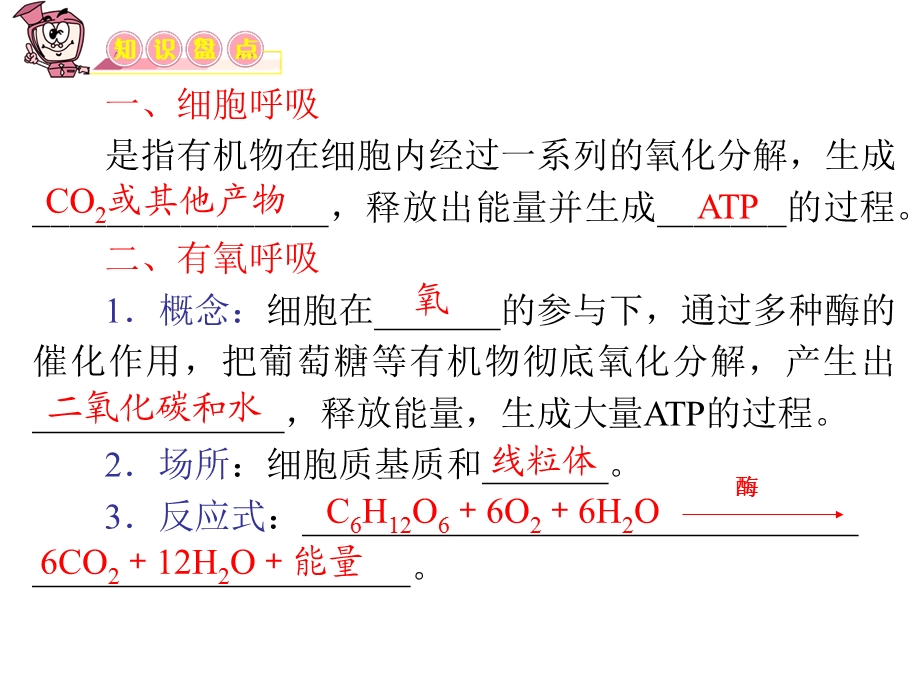 ATP的主要来源细胞呼吸.ppt_第2页