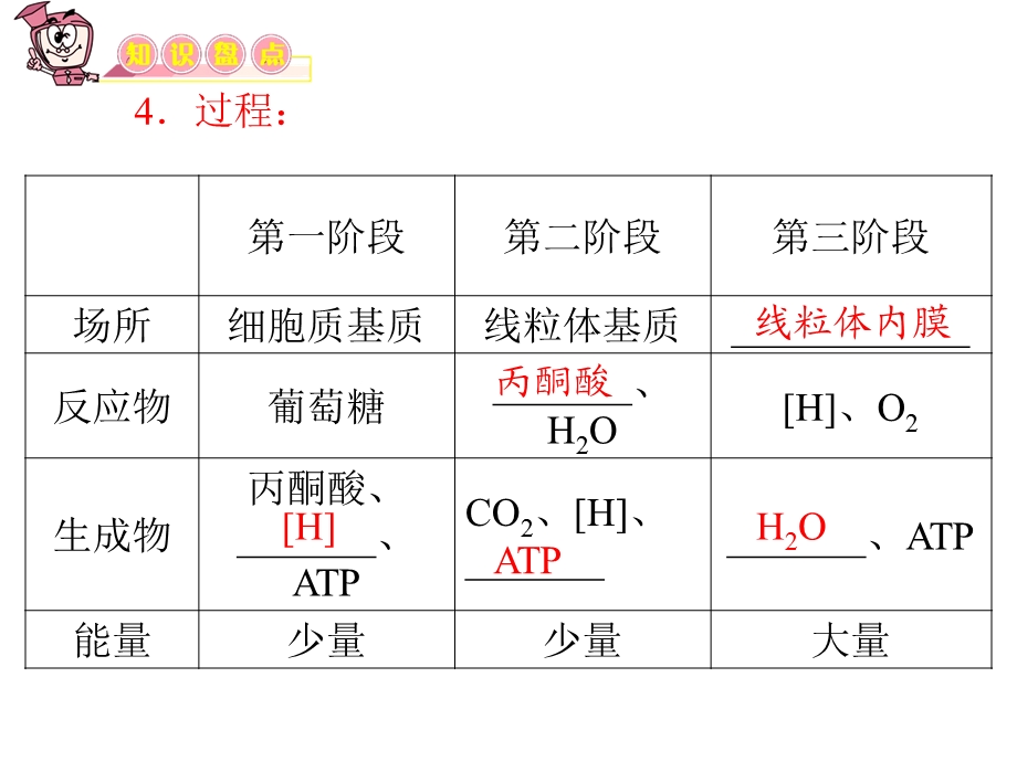 ATP的主要来源细胞呼吸.ppt_第3页