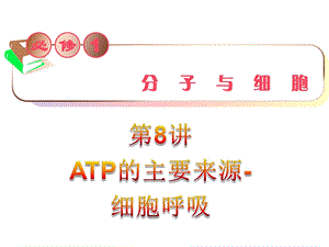 ATP的主要来源细胞呼吸.ppt