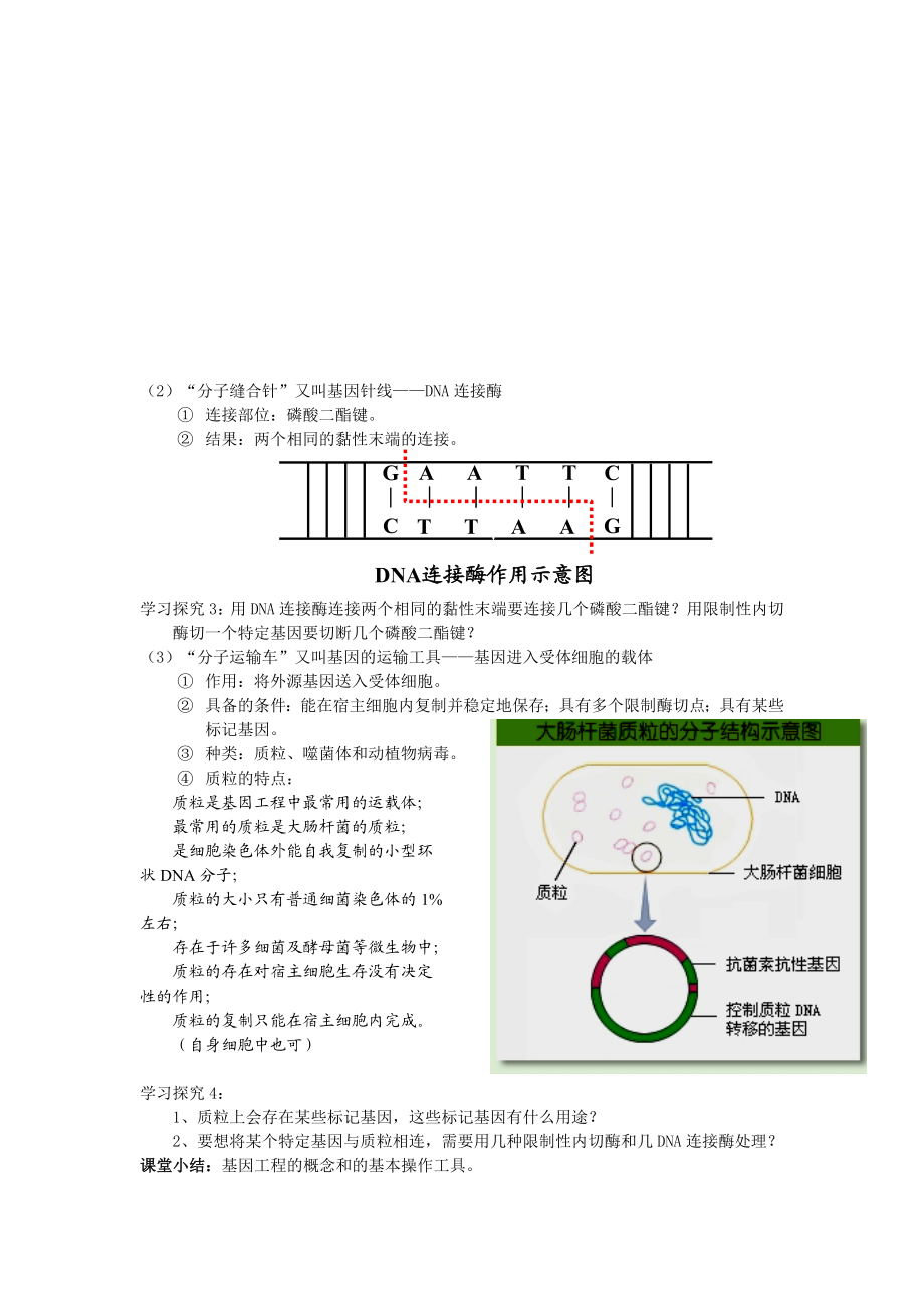 专题一基因工程.doc_第3页