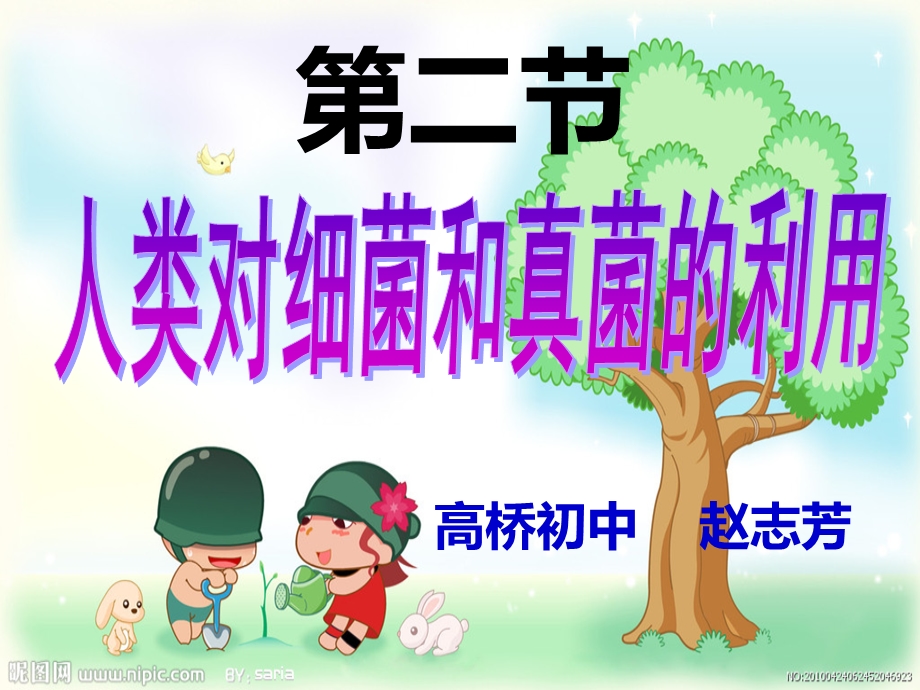 赵志芳人类对细菌和真菌的利用.ppt_第1页