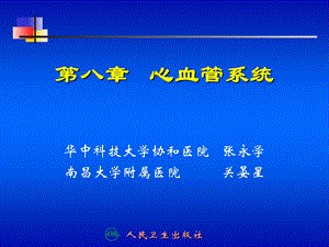 八章心血管系统.ppt