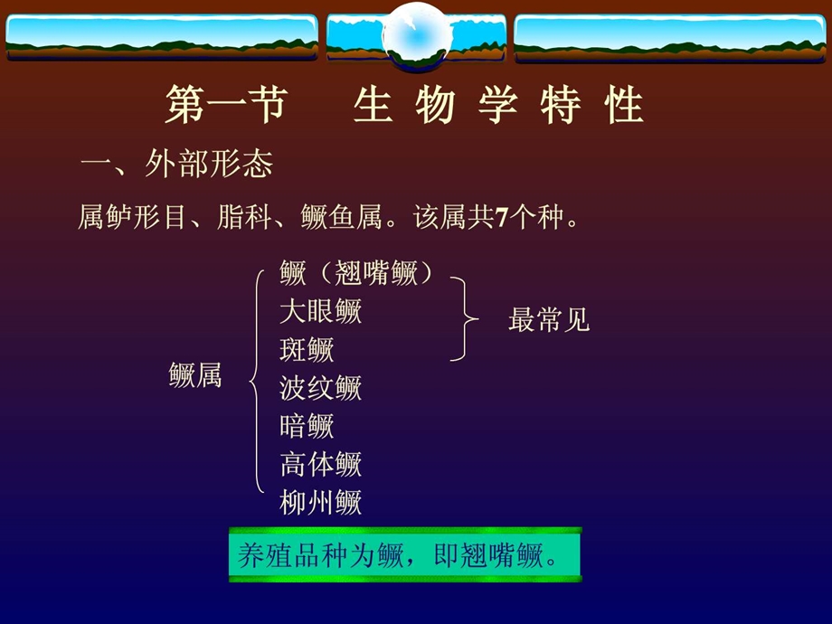 桂鱼季花鱼鳜鱼养殖技术全面版.ppt.ppt_第2页