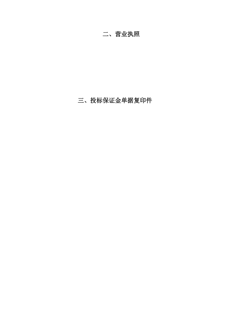 XXXX年嘉兴港区市政道路保洁工程技术标.doc_第2页