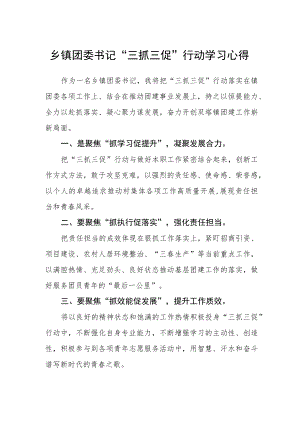 乡镇团委书记“三抓三促”行动学习心得.docx