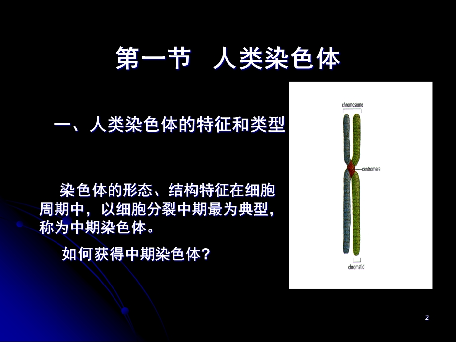 六章人类染色体和染色体病.ppt_第2页